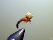 275082--31827239-m750x740.jpg