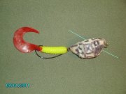 Копия PICT3096.jpg