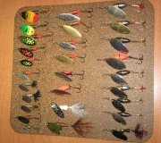IMG_0254.JPG