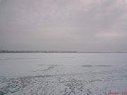 DSC00881.jpg