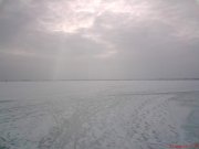 DSC00880.jpg