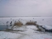 DSC00889.jpg