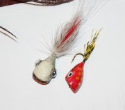 IMG_8623.jpg