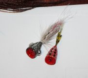 IMG_8624.jpg