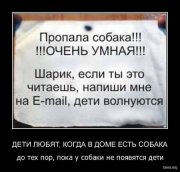 1296980390_715529-2010_03_02-10_21_36-sobaka.jpg
