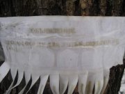 IMG_3372.jpg
