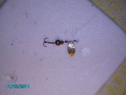 PICT3284.jpg