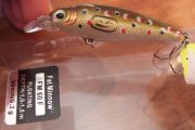 DSCF5253.jpg