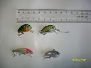 100_8422.jpg