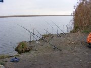 DSCF2006.jpg