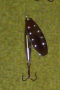 DSC00169W.jpg