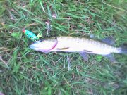 01-09-07_1052.jpg