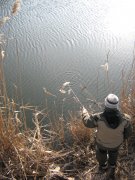 IMG_4192.JPG