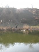 IMG_4214.JPG