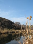IMG_4219.JPG