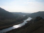 IMG_4236.jpg