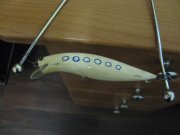 IMG_2571.jpg