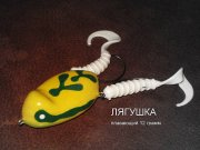 Лягушка.jpg