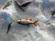 IMG_0553.JPG