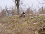 DSCF2717.jpg