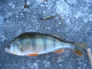 IMG_3440.jpg