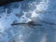 IMG_3444.jpg