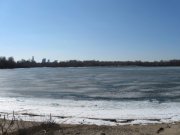 IMG_2901.jpg