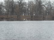 SDC14006.jpg
