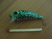IMG_2795.jpg