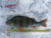IMG_3445.jpg