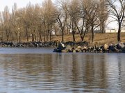 Фото0204.jpg