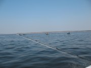 IMG_4889.jpg