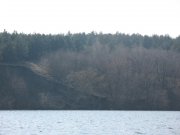IMG_4900.jpg