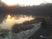 02-04-11_0705.jpg