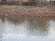 SDC11580_изменить размер.JPG