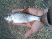 user9640_pic8884_1302113066.jpg