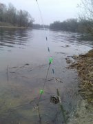 user9640_pic8885_1302113186.jpg