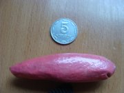 DSC04289.JPG