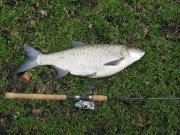 IMG_1416.jpg