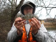 IMG_3519.jpg
