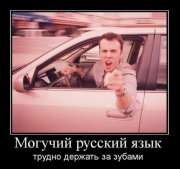 x_91d890d3.jpg