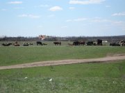 IMG_29100.jpg