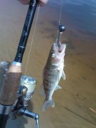 DSC01245.JPG