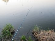 IMG_0383.jpg