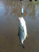 DSC01266.JPG