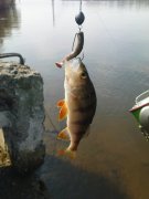 DSC01273.JPG