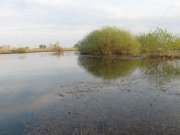 IMG_3027.jpg