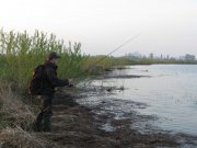 IMG_3017.jpg