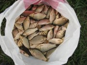 IMG_2250.JPG