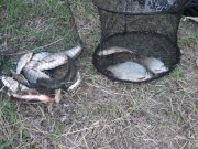 IMG_2857.jpg